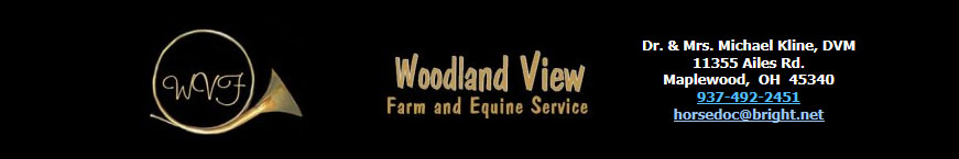 Horses Showing Group 3